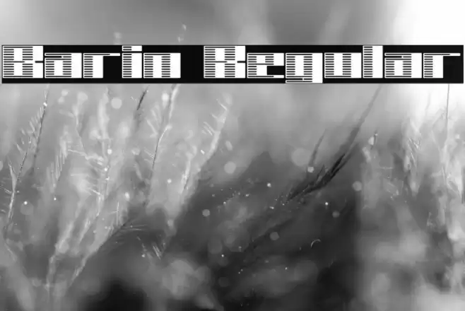 Barin Regular Font examples