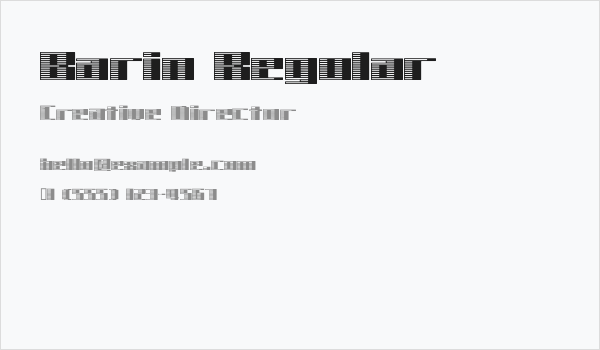 Barin Regular Business Card