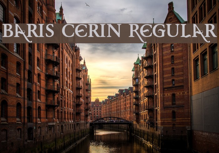 Baris Cerin Regular Font examples