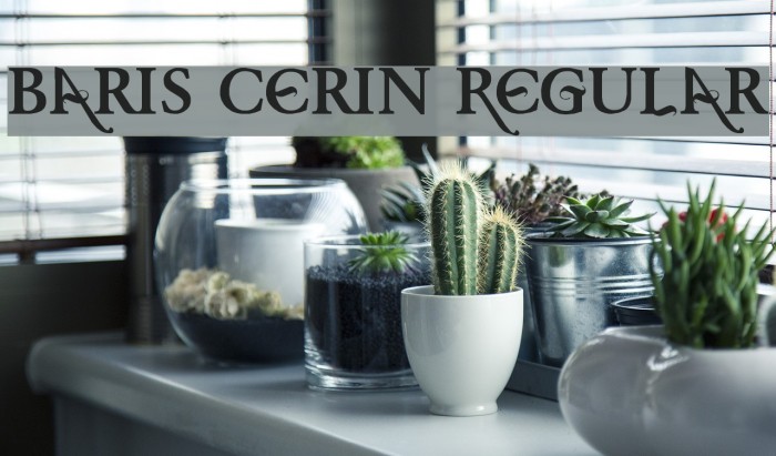 Baris Cerin Regular Font examples