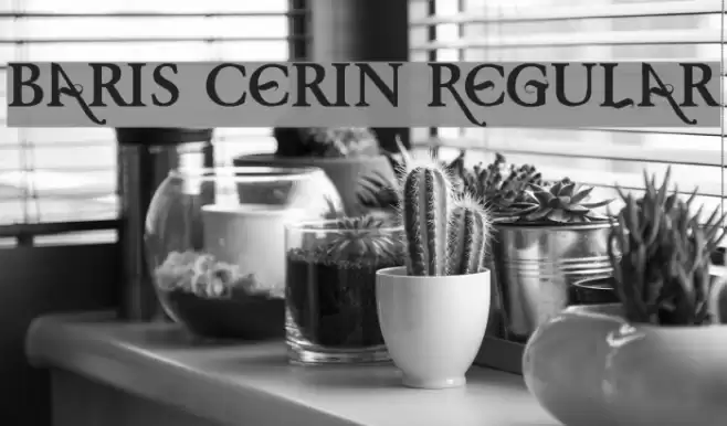 Baris Cerin Regular Font examples