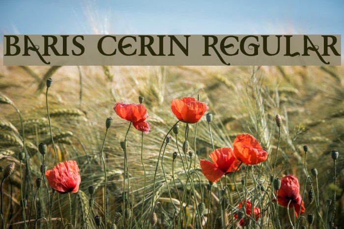 Baris Cerin Regular Font examples