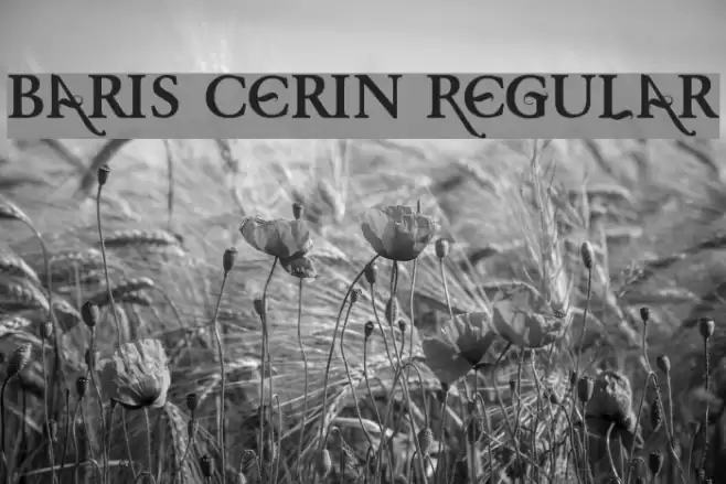 Baris Cerin Regular Font examples