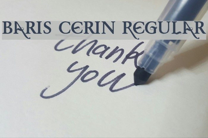 Baris Cerin Regular Font examples