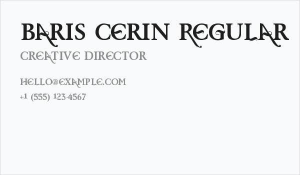 Baris Cerin Regular Business Card