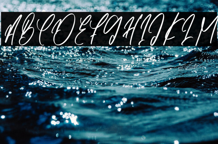 Barista Heraly-Regular Example 3