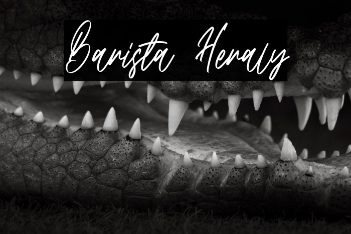 Barista Heraly Example 2