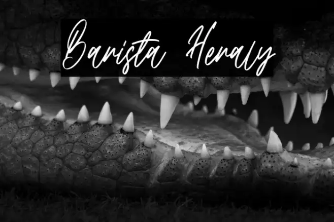 Barista Heraly Example 2