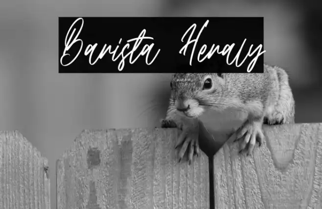 Barista Heraly Example 3
