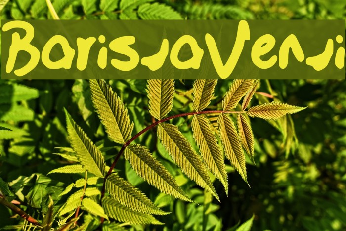 Barista_Venti Example 1