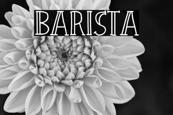 Barista Example 1