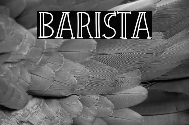 Barista Example 2
