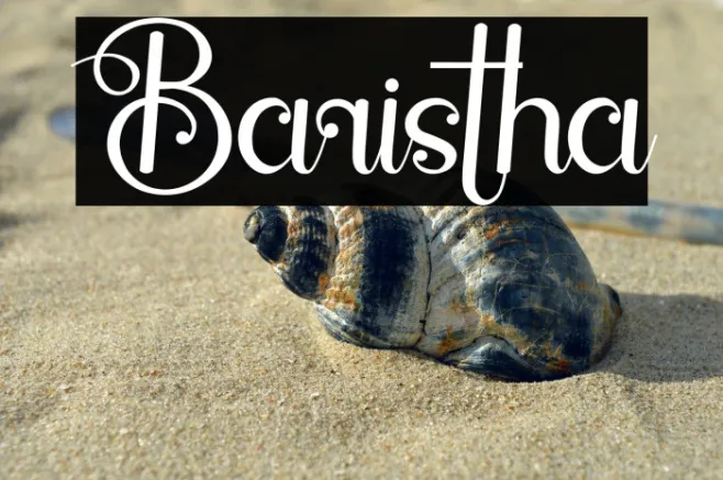 Baristha Example 3