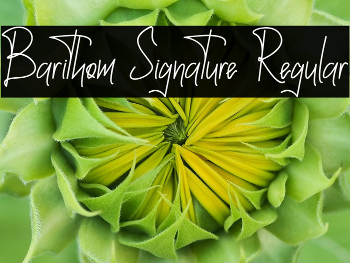 Barithom Signature Regular Example 2