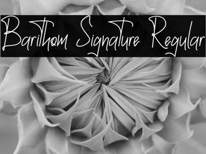 Barithom Signature Regular Example 2