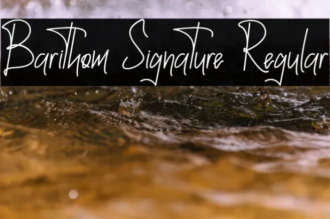 Barithom Signature Regular Example 3