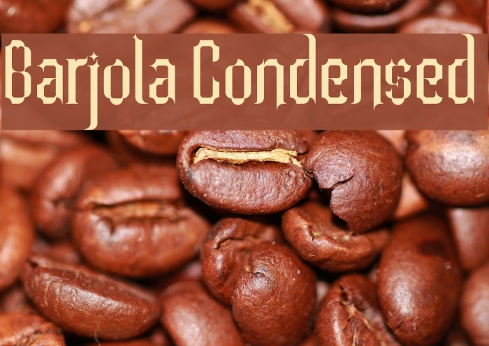Barjola Condensed  Example 1