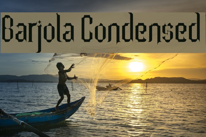 Barjola Condensed  Example 3