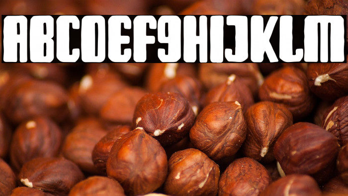 Bark For Life Example 3