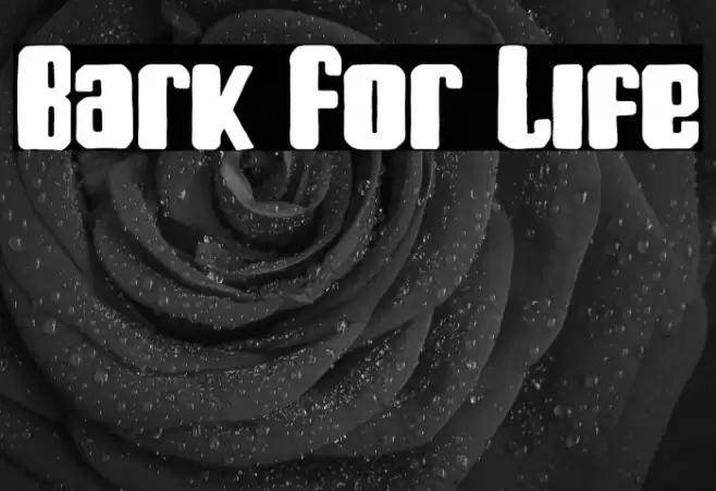 Bark For Life Font examples