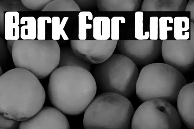 Bark For Life Font examples