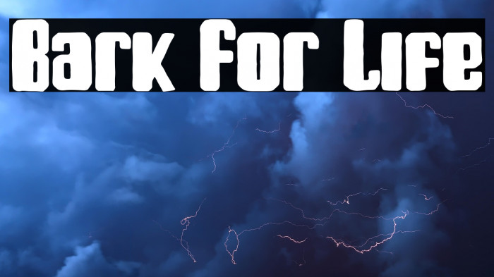 Bark For Life Example 3