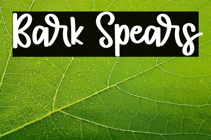 Bark Spears Example 1