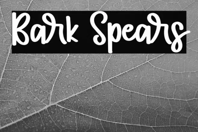 Bark Spears Polices examples