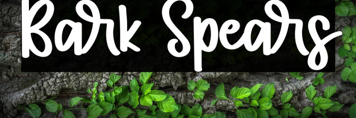 Bark Spears Example 2