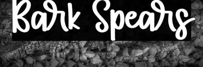 Bark Spears Polices examples