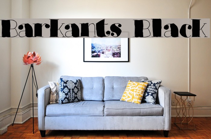 Barkants Black Example 1