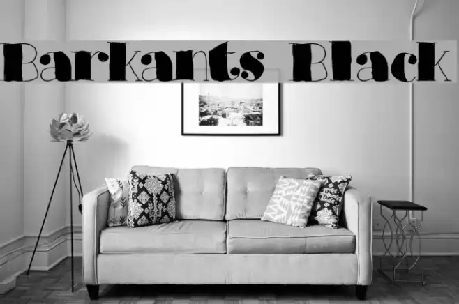 Barkants Black Font examples