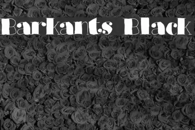 Barkants Black Font examples