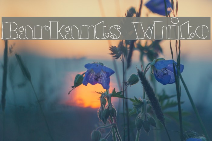 Barkants White Font examples