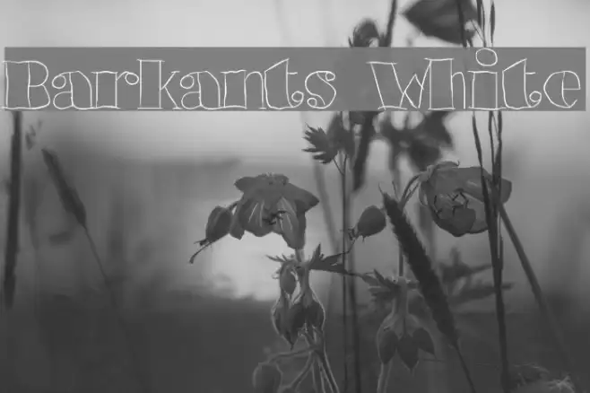 Barkants White Example 2