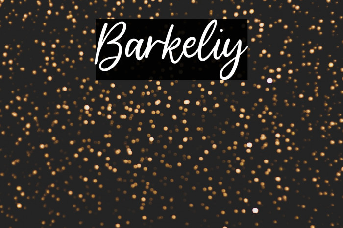 Barkeliy Example 1