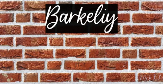 Barkeliy Example 2