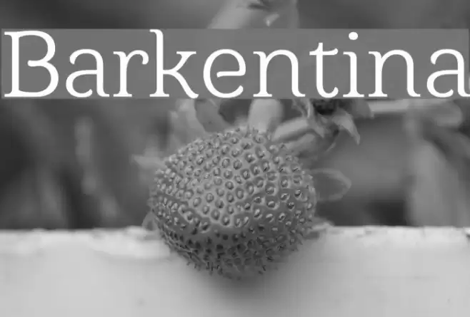 Barkentina Font examples