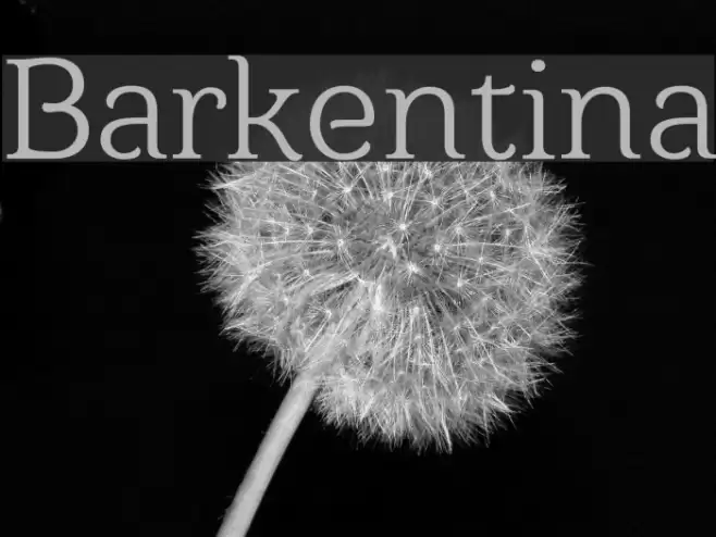 Barkentina Font examples