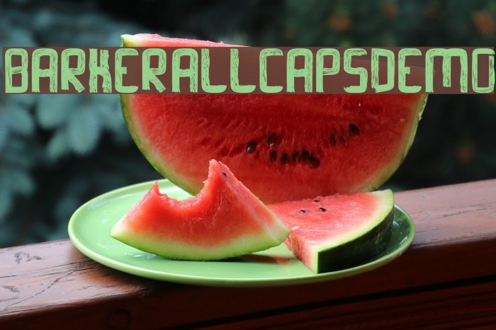 Barker-AllCapsDemo Example 1