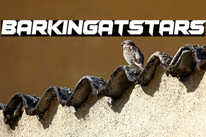 Barking at Stars Example 1