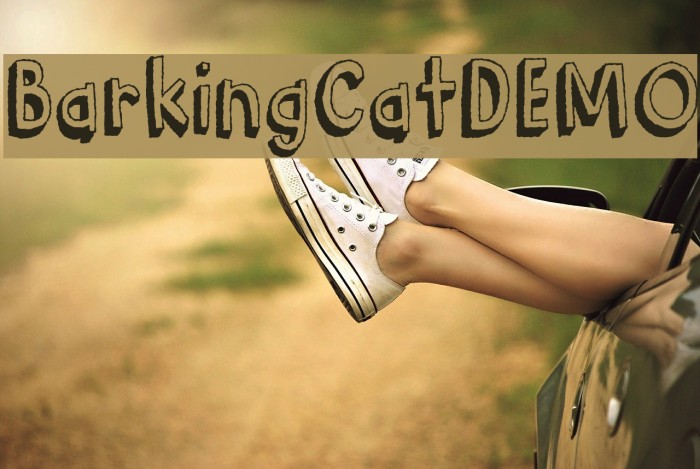 BarkingCatDEMO Font examples