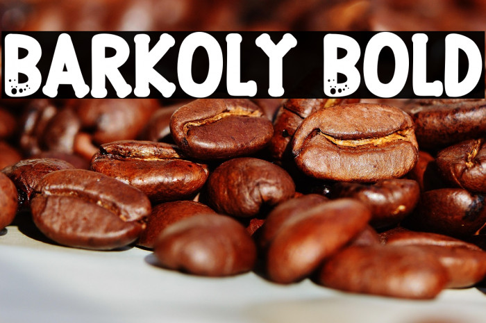 Barkoly Bold Example 3