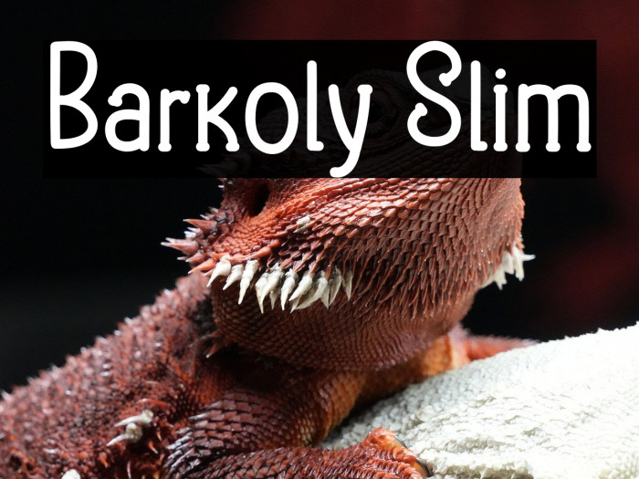 Barkoly Slim Example 1