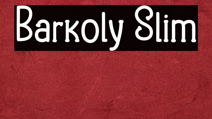 Barkoly Slim Example 2