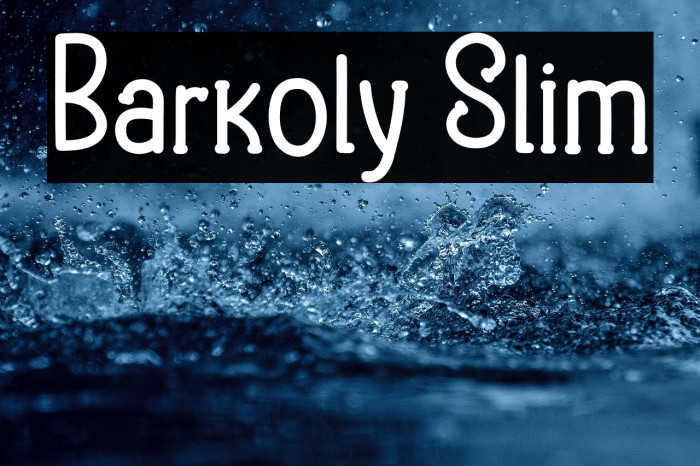 Barkoly Slim Example 3