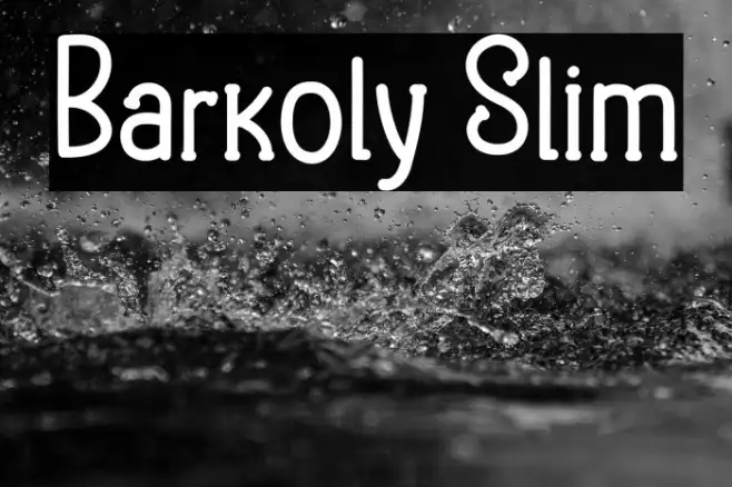 Barkoly Slim Example 3