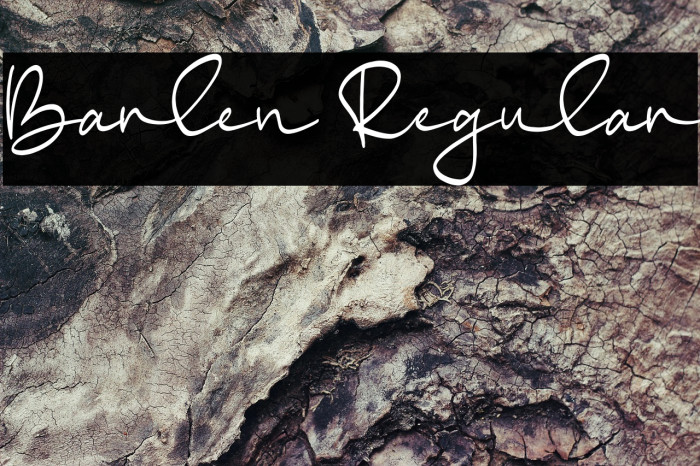 Barlen Regular Example 1