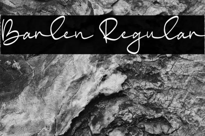 Barlen Regular Font examples