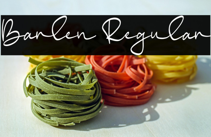 Barlen Regular Example 3